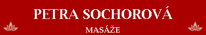 Primary Raster logo